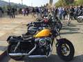 Harley-Davidson Sportster Forty Eight Harley Davidson Sportster Forty Eight XL1200X Giallo - thumbnail 5