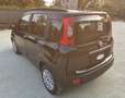 Fiat Panda 1.2 Easy 69cv 5 posti - UNICO PROPRIETARIO Nero - thumbnail 4