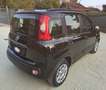 Fiat Panda 1.2 Easy 69cv 5 posti - UNICO PROPRIETARIO Nero - thumbnail 3