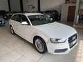 Audi A4 A4 Avant 2.0 tdi Business Plus quattro s-tronic Bianco - thumbnail 2