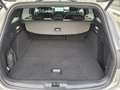 Ford Focus ST-Line X Silber - thumbnail 12