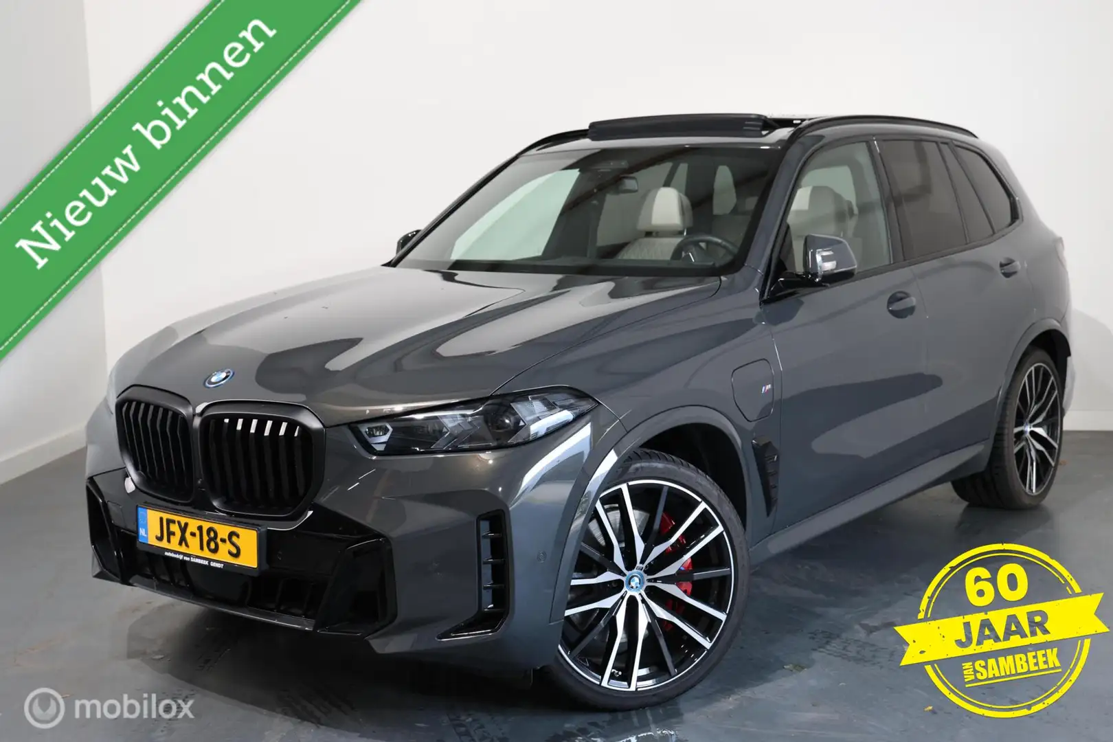 BMW X5 xDrive50e - PANO-LUCHTVERING-MASSAGE-TREKHAAK Grijs - 2
