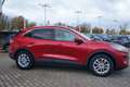 Ford Kuga 2.0 M-Hybrid Titanium LED Panorama Kamera Rot - thumbnail 3