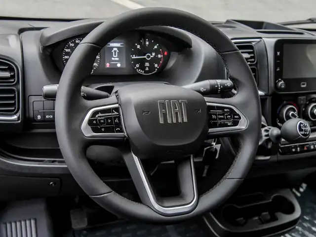 Fiat Ducato view 6