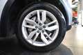 Audi Q5 40 TDI Quattro S-Tronic Business - ADAS/NAVI/LED Argento - thumbnail 6