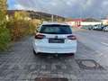 Opel Insignia A Sports Tourer Business Innovation Alb - thumbnail 5