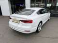 Audi A5 2.0 TDI quattro Sport Weiß - thumbnail 5