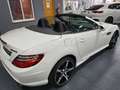 Mercedes-Benz SLK 200 9G-Tronic Blanco - thumbnail 30