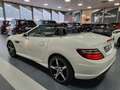 Mercedes-Benz SLK 200 9G-Tronic Blanco - thumbnail 22