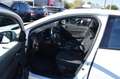 Renault Megane 1.5 DCI 110CH ENERGY BUSINESS Blanc - thumbnail 18