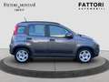 Fiat Panda Panda 1.0 firefly hybrid City Life s - thumbnail 8