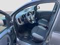 Fiat Panda Panda 1.0 firefly hybrid City Life s - thumbnail 10