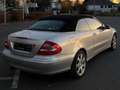 Mercedes-Benz CLK 320 CLK Cabrio 320 Elegance Argent - thumbnail 5