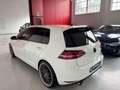 Volkswagen Golf GTI GTI Performance 2.0 TSI DSG 5p. BMT Wit - thumbnail 14