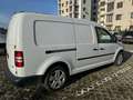 Volkswagen Caddy 1.6 TDI 102 CV 4p. Furgone Maxi Bianco - thumbnail 7