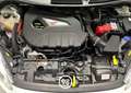 Ford Fiesta ST 3p 1.6 182cv *UNICO PROPR/ATS 18''/DISCHI * Blanc - thumbnail 14