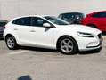 Volvo V40 D2 Kinetic 120PS PICKERL 11/26 Services Kamera Weiß - thumbnail 2