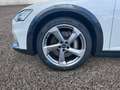 Audi A6 allroad A6 allroad 55 TDI quattro Weiß - thumbnail 10