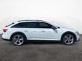 Audi A6 allroad A6 allroad 55 TDI quattro Weiß - thumbnail 7