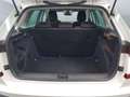 Skoda Kamiq -26% 1.0 TSI 115cv BVA +MIRRORLINK+CAM+Options Beige - thumbnail 5