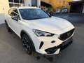 CUPRA Formentor Cupra Formentor 1.5 TSI 110kW 7-Gang Automatikg... Weiß - thumbnail 3