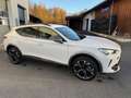 CUPRA Formentor Cupra Formentor 1.5 TSI 110kW 7-Gang Automatikg... Weiß - thumbnail 4