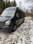 Mercedes-Benz Sprinter 316 CDI 3,5 t / 3.665 mm G-Tronic - thumbnail 3