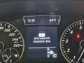 Mercedes-Benz B 200 Ambition PANO / LEDER / NAVI / CRUISE Gris - thumbnail 24