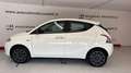 Lancia Ypsilon 1.2 69 CV 5 porte Gold 5 POSTI *P.ZO REALE* Blanc - thumbnail 4
