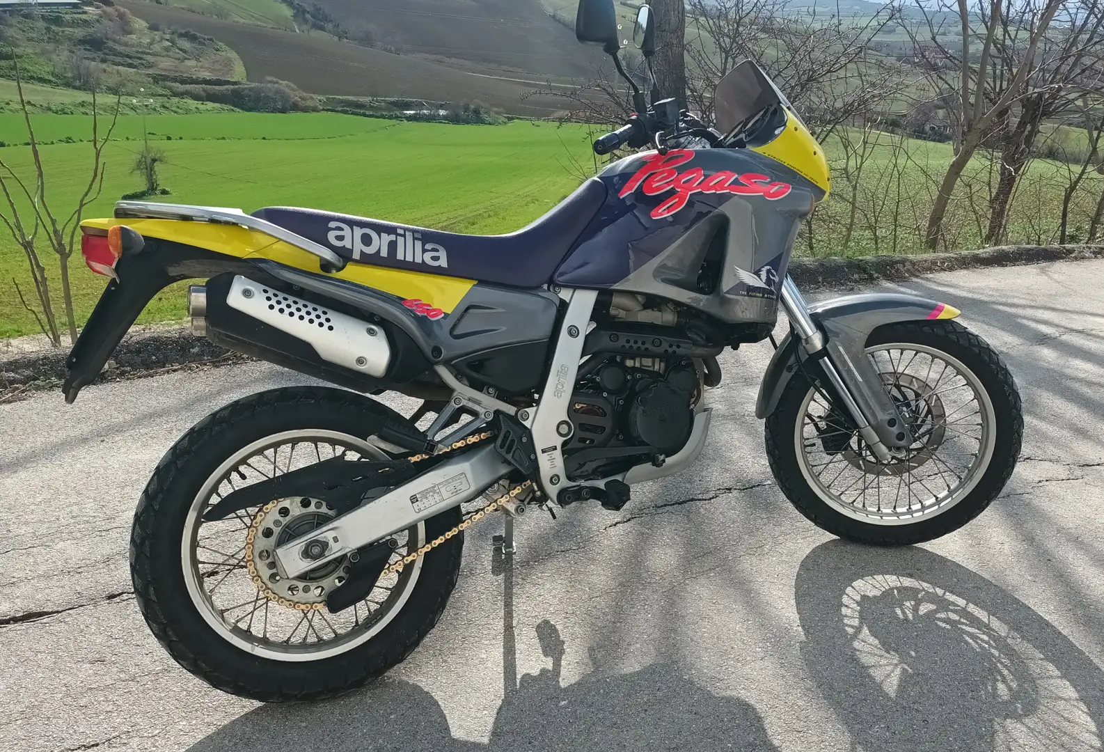Aprilia Pegaso 650 Gris - 1