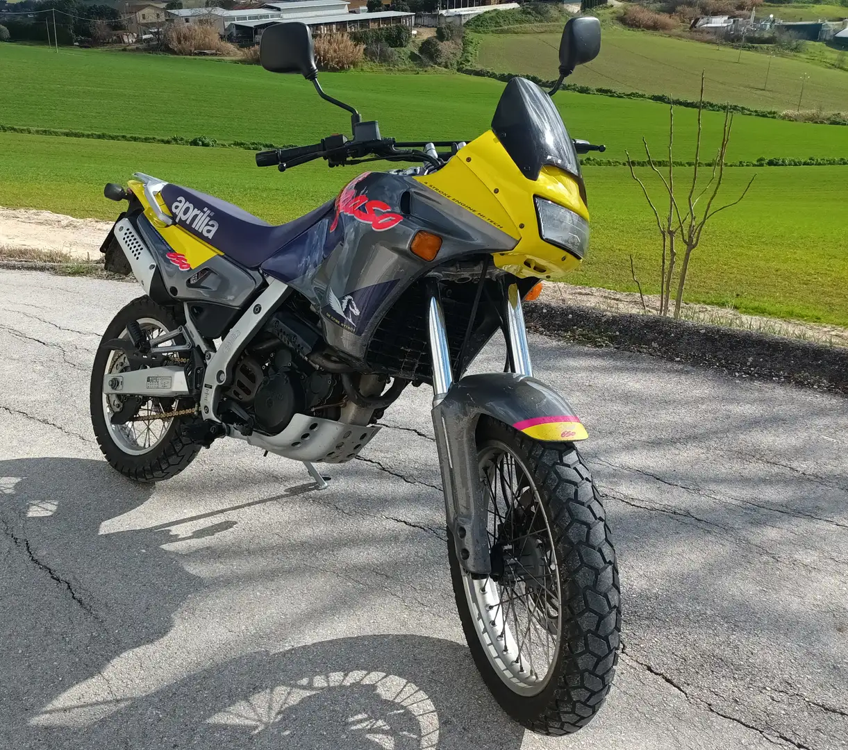 Aprilia Pegaso 650 Gris - 2