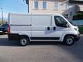 Fiat Ducato 30 2.3 MJT 120CV PC-TN Furgone Bianco - thumbnail 5