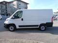 Fiat Ducato 30 2.3 MJT 120CV PC-TN Furgone Bianco - thumbnail 7
