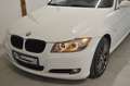 BMW 316 d **Xenon**Sportsitze**neues Pickerl** Weiß - thumbnail 4