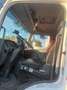 Mercedes-Benz Atego camion frigo - thumbnail 4