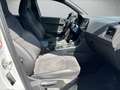 CUPRA Ateca 2.0 TSI 4Drive DSG *Sitzhzg* Weiß - thumbnail 13