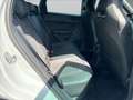 CUPRA Ateca 2.0 TSI 4Drive DSG *Sitzhzg* Weiß - thumbnail 12