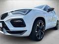 CUPRA Ateca 2.0 TSI 4Drive DSG *Sitzhzg* Weiß - thumbnail 4