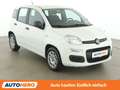 Fiat Panda 1.2 Easy *KLIMA* Weiß - thumbnail 8