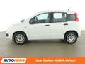 Fiat Panda 1.2 Easy *KLIMA* Weiß - thumbnail 3