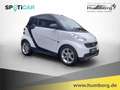 smart forTwo Micro Hybrid Drive cabrio pure El. Verdeck Klimaau Blanc - thumbnail 3