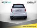 smart forTwo Micro Hybrid Drive cabrio pure El. Verdeck Klimaau Blanc - thumbnail 6