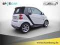 smart forTwo Micro Hybrid Drive cabrio pure El. Verdeck Klimaau Blanc - thumbnail 5