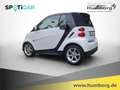smart forTwo Micro Hybrid Drive cabrio pure El. Verdeck Klimaau Blanc - thumbnail 7