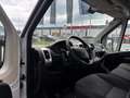 Fiat Ducato KW 33 L2H2 160PS Weiß - thumbnail 2