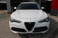 Alfa Romeo Stelvio Business Q4 Wit - thumbnail 8