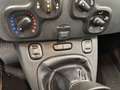 Fiat Panda 1.2 69cv E6 Easy Bianco - thumbnail 15