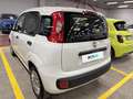 Fiat Panda 1.2 69cv E6 Easy Bianco - thumbnail 3