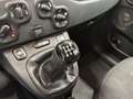 Fiat Panda 1.2 69cv E6 Easy Bianco - thumbnail 13