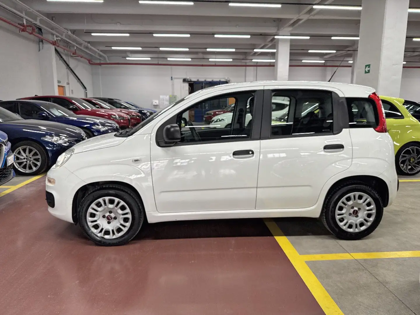 Fiat Panda 1.2 69cv E6 Easy Bianco - 2
